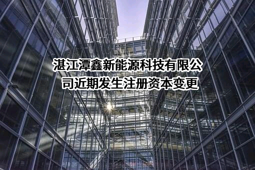 湛江潭鑫新能源科技有限公司