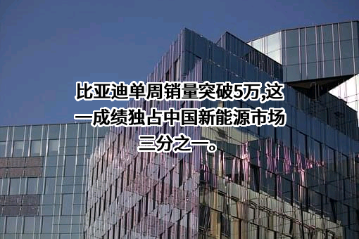 比亚迪股份有限公司