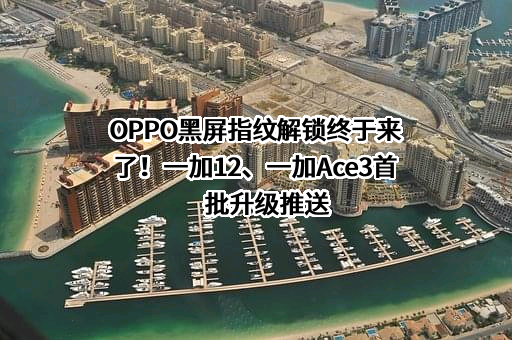 深圳市万普拉斯科技有限公司