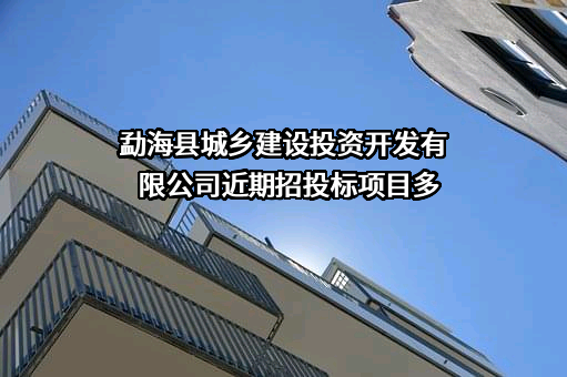 勐海县城乡建设投资开发有限公司近期招投标项目多