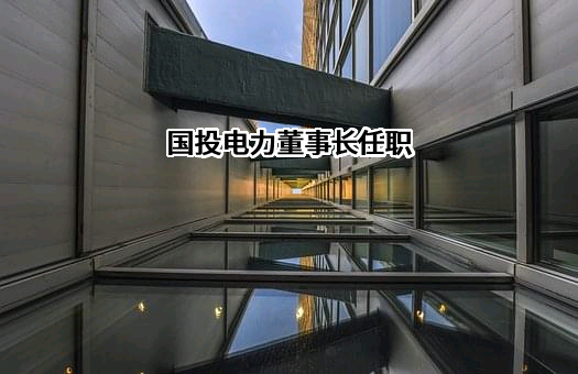 国投电力控股股份有限公司