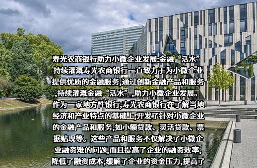 山东寿光农村商业银行股份有限公司