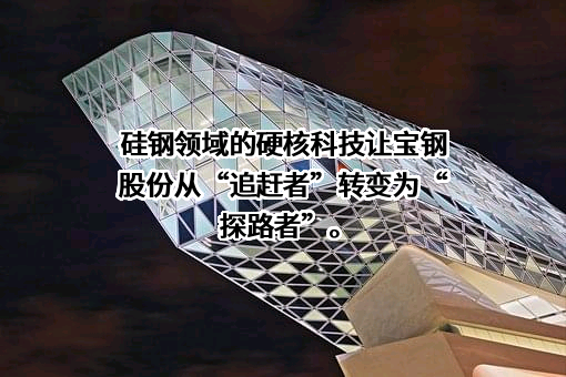 宝山钢铁股份有限公司