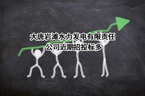 大唐岩滩水力发电有限责任公司