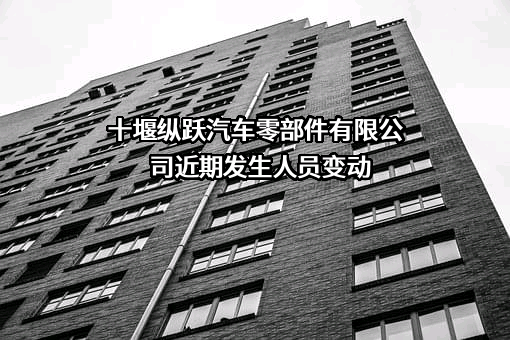 十堰纵跃汽车零部件有限公司