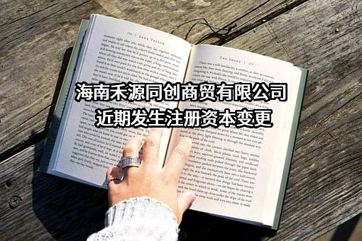 海南禾源同创商贸有限公司