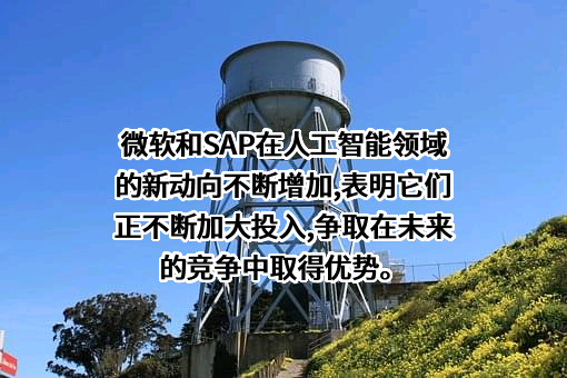 微软（中国）有限公司