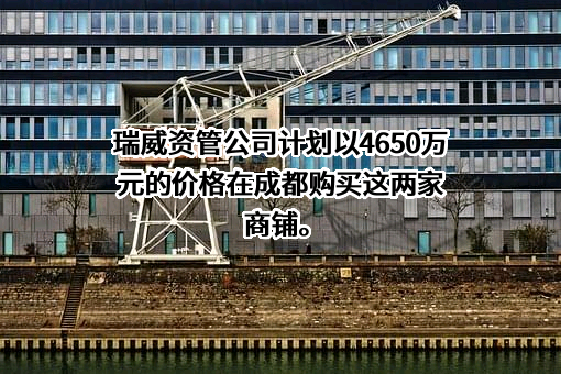 上海瑞威资产管理股份有限公司