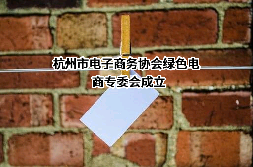 杭州市电子商务协会绿色电商专委会成立