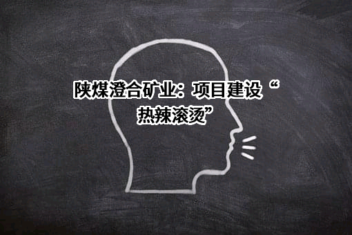 陕西陕煤澄合矿业有限公司