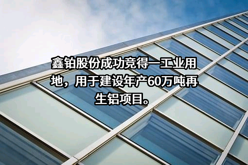 安徽鑫铂铝业股份有限公司