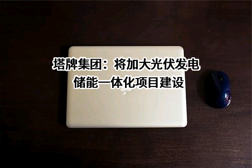 广东塔牌集团股份有限公司