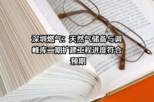 深圳市燃气集团股份有限公司