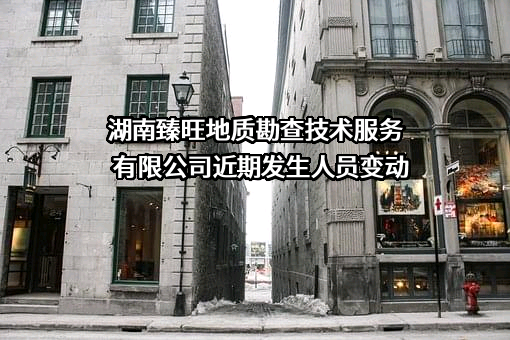 湖南臻旺地质勘查技术服务有限公司