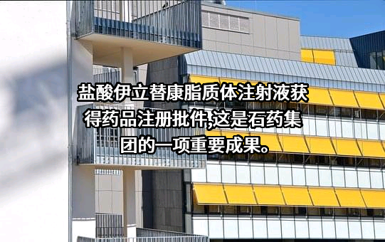 石药控股集团有限公司