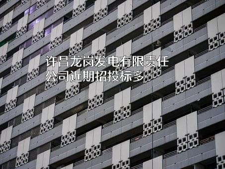 许昌龙岗发电有限责任公司