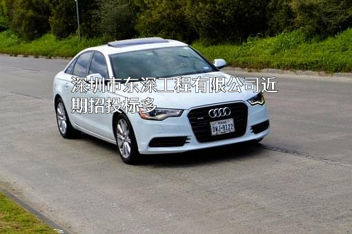 深圳市东深工程有限公司