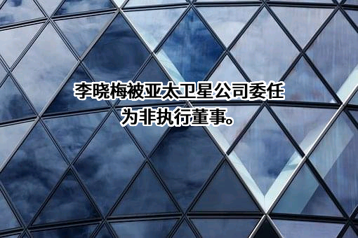 亚太卫星控股有限公司