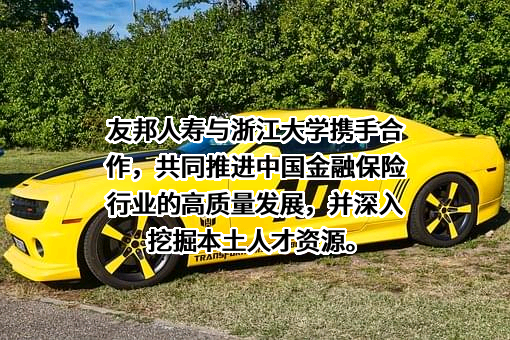 友邦人寿保险有限公司