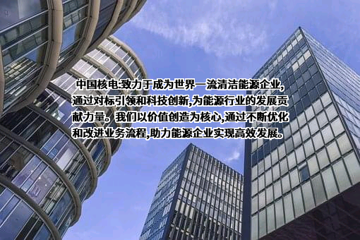中国核能电力股份有限公司