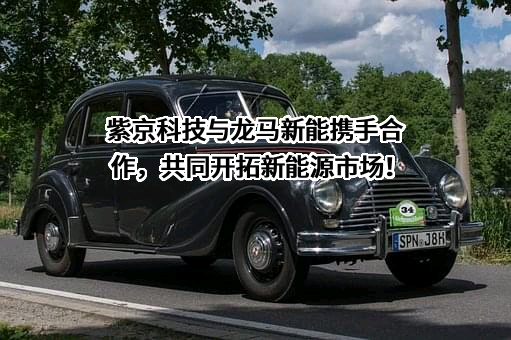 福龙马新能源科技发展有限公司