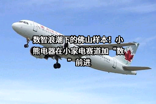 小熊电器股份有限公司