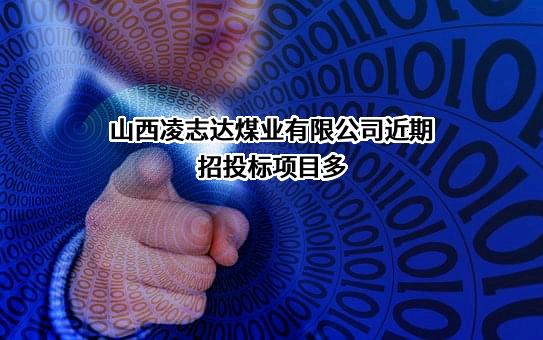 山西凌志达煤业有限公司
