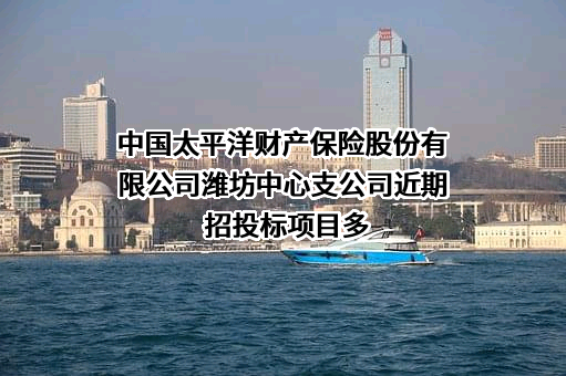 中国太平洋财产保险股份有限公司潍坊中心支公司