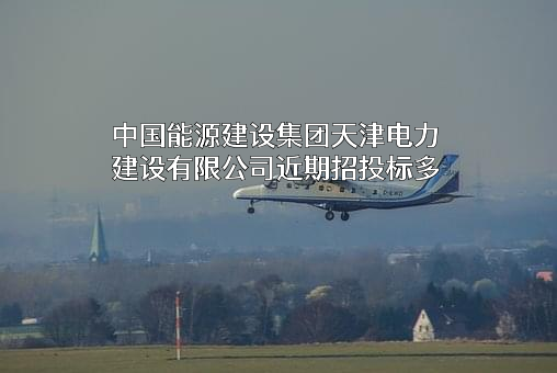中国能源建设集团天津电力建设有限公司