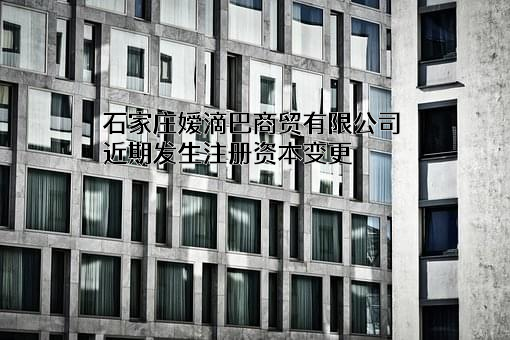 石家庄嫒滴巴商贸有限公司