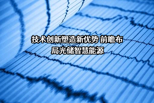 技术创新塑造新优势 前瞻布局光储智慧能源