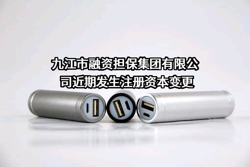 九江市融资担保集团有限公司