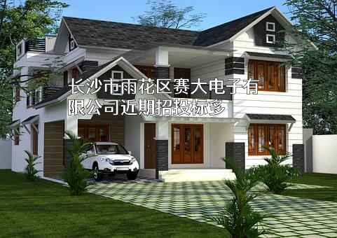 长沙市雨花区赛大电子有限公司
