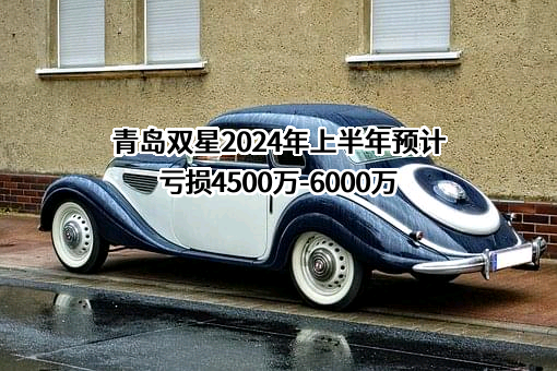 青岛双星股份有限公司