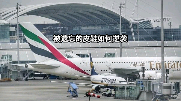 浙江红蜻蜓鞋业股份有限公司