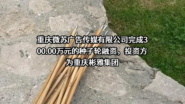 重庆微苏广告传媒有限公司
