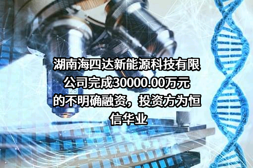 湖南海四达新能源科技有限公司