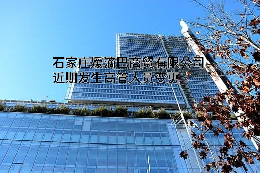 石家庄嫒滴巴商贸有限公司