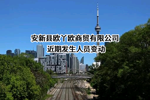 安新县欧丫欧商贸有限公司