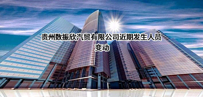 贵州数振欣汽贸有限公司