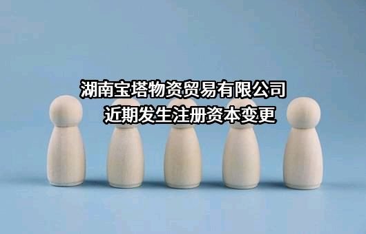 湖南宝塔物资贸易有限公司