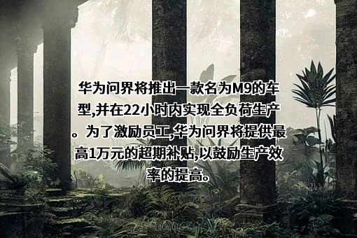 华为技术有限公司