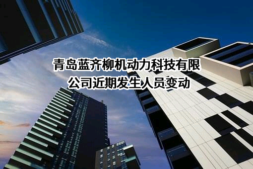青岛蓝齐柳机动力科技有限公司