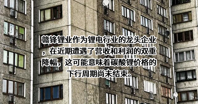 江西赣锋锂业股份有限公司