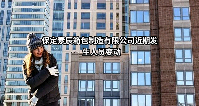 保定素辰箱包制造有限公司