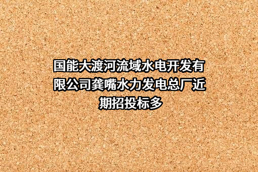 国能大渡河流域水电开发有限公司龚嘴水力发电总厂