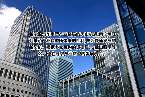 佛山电器照明股份有限公司