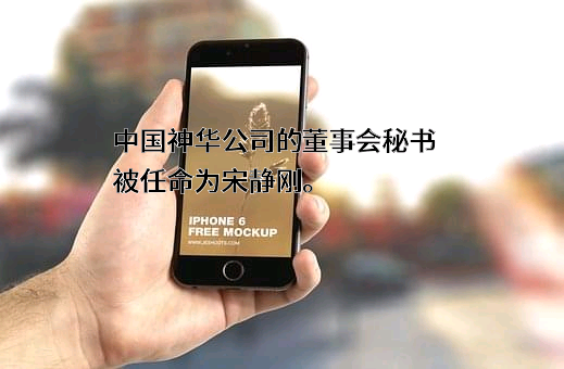 中国神华能源股份有限公司