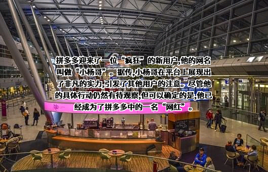 上海寻梦信息技术有限公司