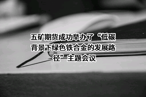 中国矿产有限责任公司